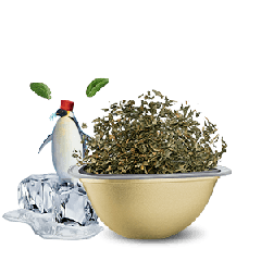 Ice Mint