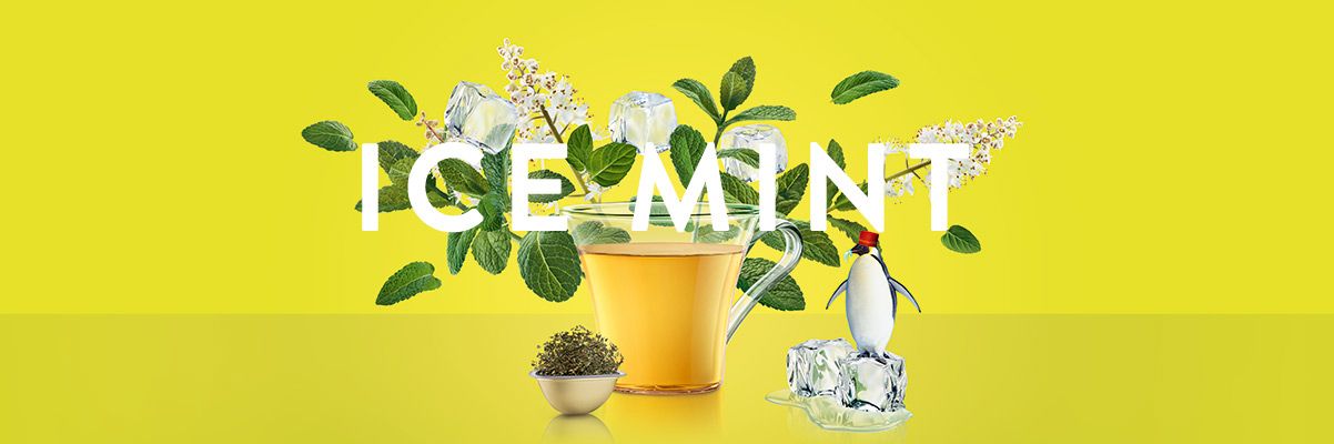 Ice Mint