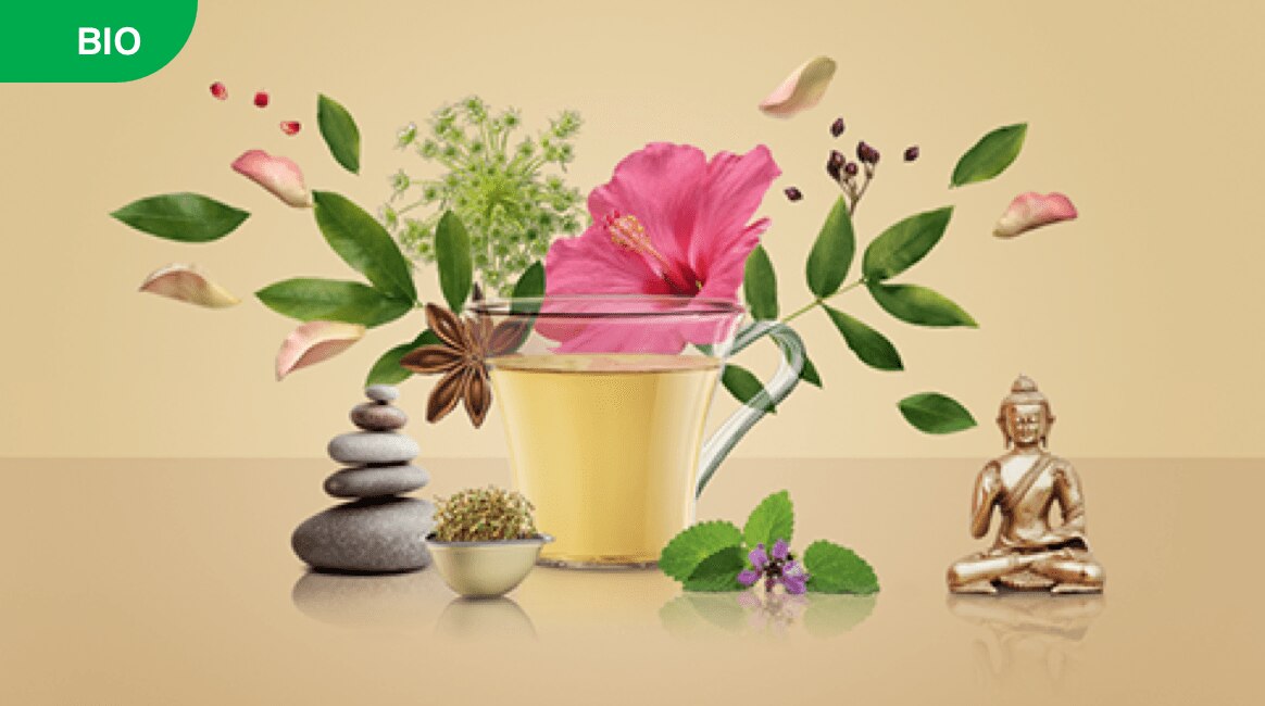 Wellness-Kollektion
