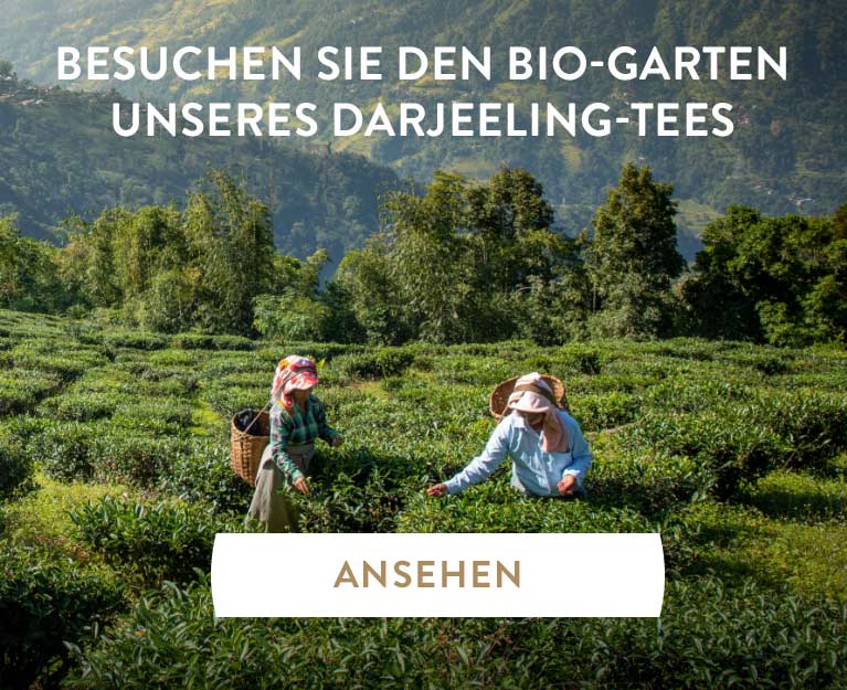 Teemaschine Und Teekapseln Special T By Nestle