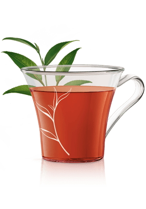 Teekapsel - Unsere Produkte unter den verglichenenTeekapsel!